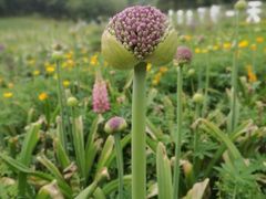 -保利石象湖景区