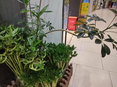 -花辰月夕花坊(北滨路店)