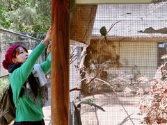 -费瑟代尔野生动物园