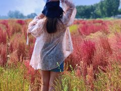 -汉长安城未央宫国家考古遗址公园