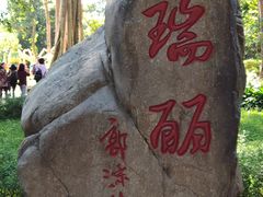 -瑞丽独树成林风景区