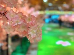 -武汉两江游览·夜游长江(汉口粤汉码头)
