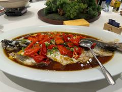 -丹江渔村(望京店)