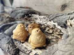 -辛庄国际文化艺术区
