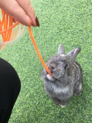 -萌宠亲子动物乐园(槐房万达店)