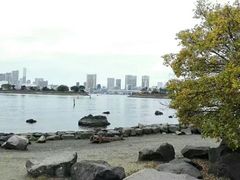 -台场海滨公园船码头