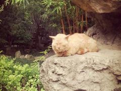 android_upload_pic-望江楼公园