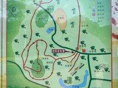 -大屏嶂森林公园