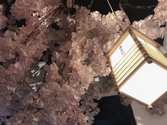 -酒井酱子·深夜食堂(东城汇店)
