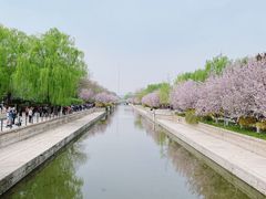 -海棠花溪(元大都城垣遗址公园)