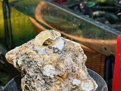 -鑫鸿达·海鲜闽菜热炒小馆(中山路店)