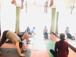 -Yvon yoga 瑜伽·精准体态管理中心