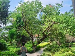 -厦门大学(思明校区)