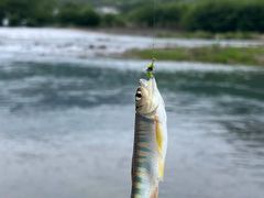 -楠溪江风景名胜区