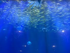 -西安华夏文旅水世界