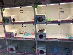 -lincat·猫舍(广州店)