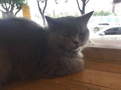 -塔拉苏咖啡(中信丹阳花园店)