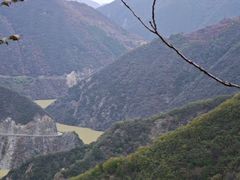 -黑河国家森林公园