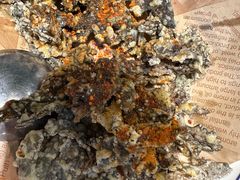 -云阿蛮云南生烫牛肉米线(奉贤路店)