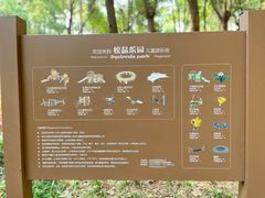 -东湖落雁景区