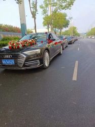 -蚂蚁婚车
