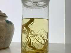 -李时珍纪念馆