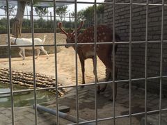 -武汉紫薇都市田园