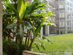 -中国计量大学(西校区)