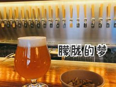 -麦落精酿啤酒餐吧(先农大院店)