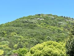 -宝岩生态观光园