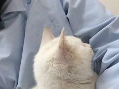 -爱侣宠医·鹦鹉专科·小型哺乳类·异宠专科(灵石路店)