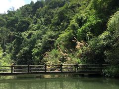 -桂林两江四湖景区