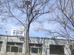 -王萍面皮(桃园二巷店)