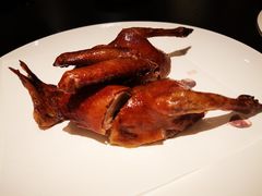 -甄御•海鲜新青岛菜(麦岛店)