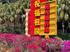-攀枝花公园