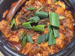 -陈麻婆豆腐(旗舰店)