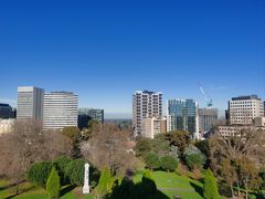 -墨尔本皇家植物园