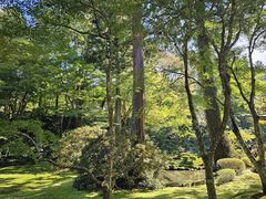 -三千院