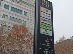 -紫峰大厦