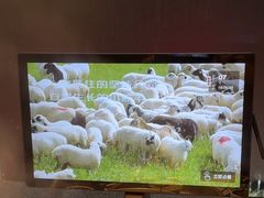 -巴奴毛肚火锅(广益哥伦布店)