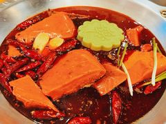 -大龙燚火锅(春熙店)