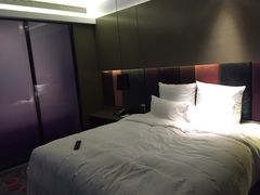 -南京禄口机场雅高铂尔曼大酒店