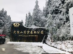 -武陵山森林公园