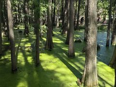 -东湖落雁景区