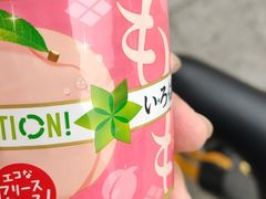 -豫石记羊汤(北苑店)
