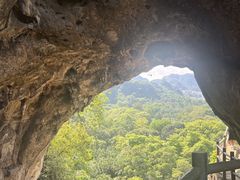 -深圳龙潭公园