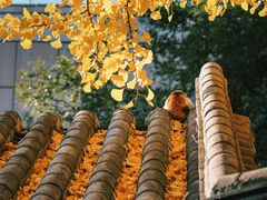 -长安寺