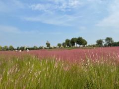 -汉长安城未央宫国家考古遗址公园