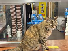 -龙华素斋(龙华路店)