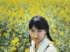 -光明小镇欢乐田园
